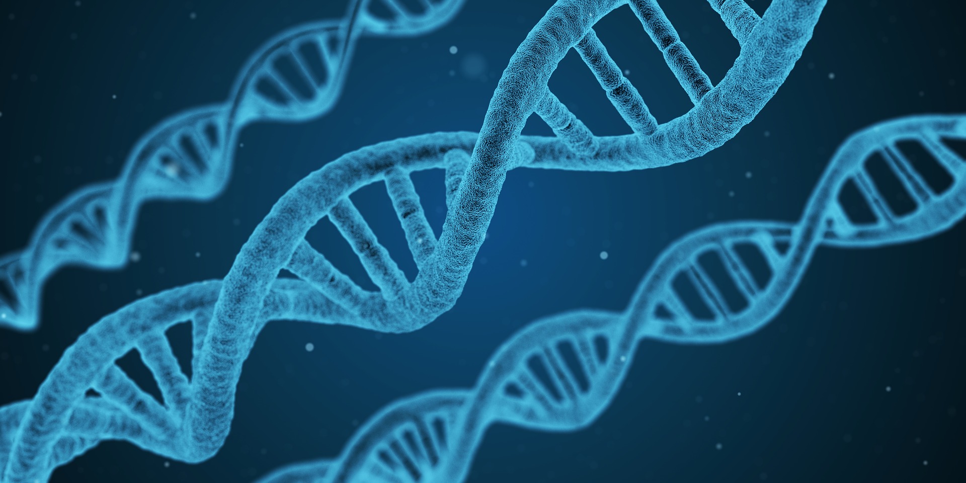 The Relationship Between CBD and Anti-Tumor Effects